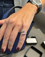 Load image into Gallery viewer, Pears in Parallel
