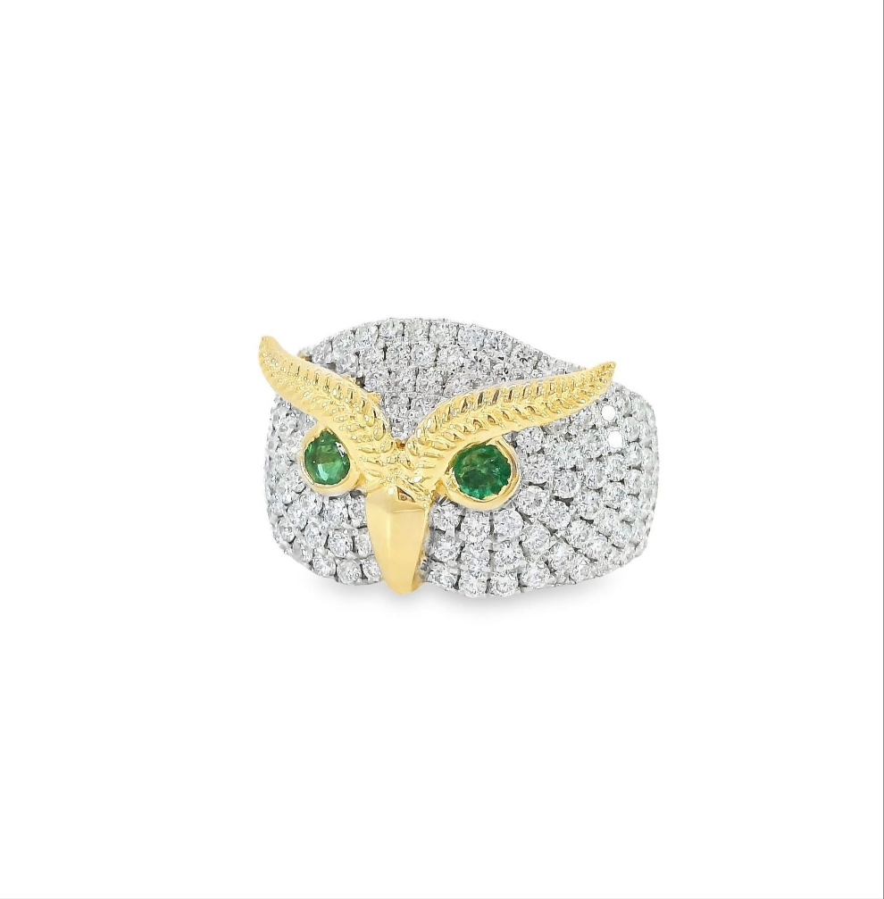 All-Knowing Owl with Emerald Eyes