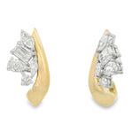 Load image into Gallery viewer, Garden Bloom Earrings
