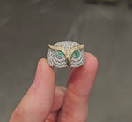 Load and play video in Gallery viewer, All-Knowing Owl with Emerald Eyes
