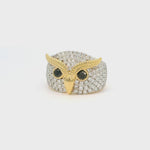 Load and play video in Gallery viewer, All-Knowing Owl with Black Diamond Eyes
