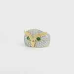 Load and play video in Gallery viewer, All-Knowing Owl with Emerald Eyes
