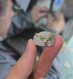 Load and play video in Gallery viewer, All-Knowing Owl with Emerald Eyes
