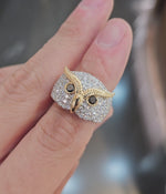 Load and play video in Gallery viewer, All-Knowing Owl with Black Diamond Eyes
