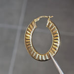 Load and play video in Gallery viewer, Solaris Gold Earrings
